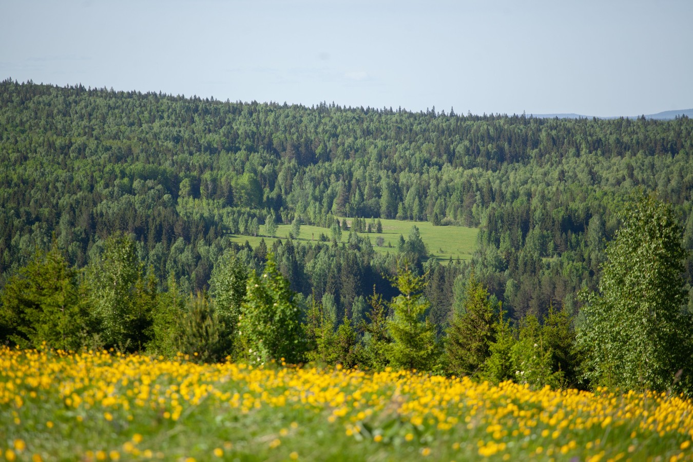 Висимский заповедник картинки