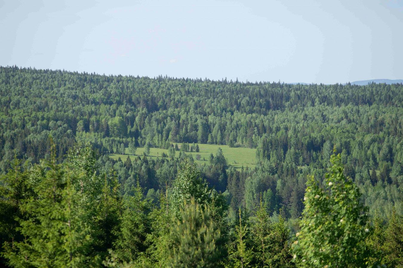 Висимский заповедник свердловской области фото